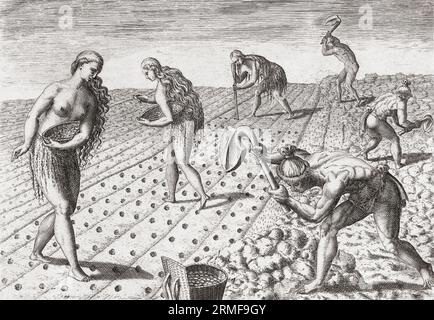 Les Amérindiens, hommes et femmes, cultivent le sol et plantent des graines. Après une œuvre de Theodor de Bry à la fin du 16e siècle. Banque D'Images