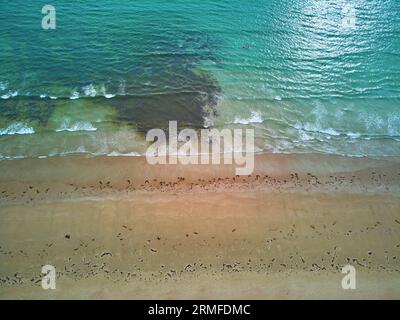 Vue aérienne par drone de la ligne côtière de l'océan Atlantique en Bretagne, France. Belle côte de mer avec plage de sable et d'énormes vagues Banque D'Images