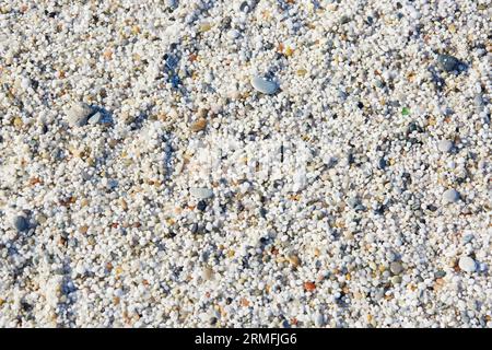 Gros plan de nombreux grains blancs sur la plage Arutas connue sous le nom de plage de riz en Sardaigne, en Italie Banque D'Images