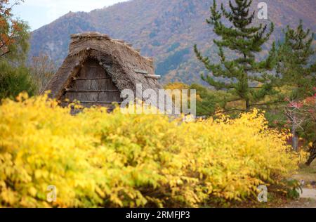 Maison dans le village historique Shirakawa-Go, préfecture de Gifu, Japon Banque D'Images