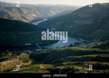 Vue sur les courbes et les pentes du fleuve Douro depuis les vignobles de la vallée du Douro, Portugal. Banque D'Images