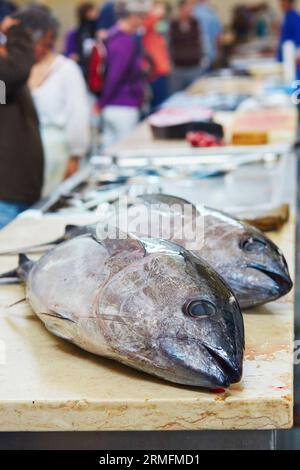 Thon de l'Atlantique sur le marché traditionnel aux poissons Mercado dos Lavradores à Funchal, île de Madère, Portugal Banque D'Images