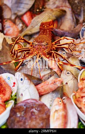 Pêche du jour - poisson frais et homard - sur un marché traditionnel marocain (souk) à Essaouira, Maroc Banque D'Images