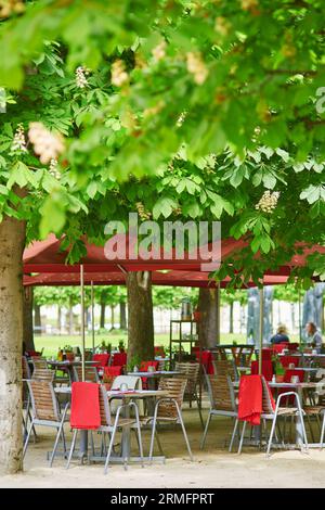 Tables du restaurant parisien en plein air avec châtaigniers en pleine floraison un jour de printemps Banque D'Images
