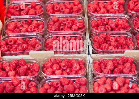 Légumes et fruits frais biologiques sur le marché fermier à Paris, France. Marché européen typique des produits locaux Banque D'Images