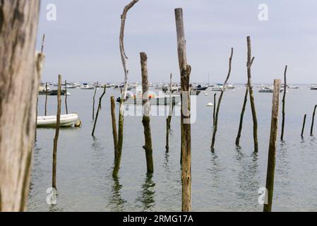 Le bassin d'Arcachon est une destination très prisée des touristes, surtout en été. Il est connu pour ses excellentes huîtres provenant du local Banque D'Images