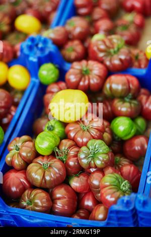 Tomates colorées biologiques fraîches sur le marché fermier à Paris, France Banque D'Images