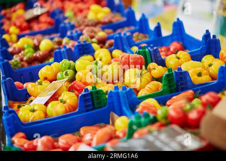 Tomates colorées biologiques fraîches sur le marché fermier à Paris, France Banque D'Images