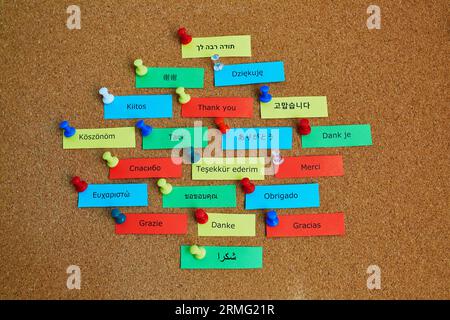Mot Merci écrit en différentes langues sur des notes de papier colorées épinglées au panneau de liège Banque D'Images