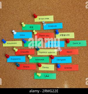 Mot Merci écrit en différentes langues sur des notes de papier colorées épinglées au panneau de liège Banque D'Images