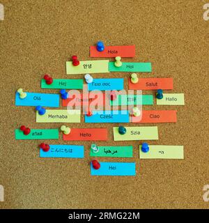 Mot Bonjour écrit en différentes langues sur des notes de papier colorées épinglées au panneau de liège Banque D'Images