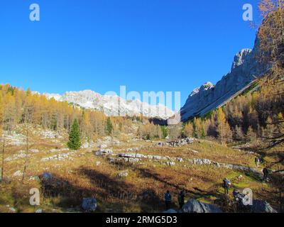 Vue de la vallée des lacs de Triglav dans le parc national de Triglav et les alpes juliennes dans la région de Gorenjska en Slovénie avec automne ou automne mélèzes de couleur dorée a Banque D'Images