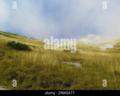 Pente ci-dessous Kamnisko sedlo dans les alpes de Kamnik-Savinja, Slovénie couverte d'herbe sèche éclairée et de brouillard dans le ciel Banque D'Images