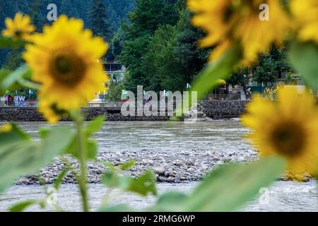 Keran Kupwara, Inde. 25 août 2023. Des drapeaux pakistanais et cachemiris sont installés sur les rives du fleuve Neelam ou Kishan Ganga qui a divisé le Cachemire en deux parties contrôlées par les rivaux nucléaires Inde et Pakistan. La rivière agit comme une ligne de contrôle contestée et coule à travers un village appelé Keran des deux côtés qui est situé sur le côté nord du district frontalier du Cachemire indien Kupwara à environ 150 km de Srinagar et 93 km de Muzaffarabad, dans la partie pakistanaise du Cachemire. Crédit : SOPA Images Limited/Alamy Live News Banque D'Images