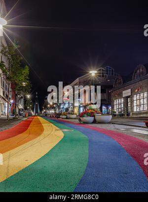 Drapeau arc-en-ciel permanent peint dans la rue (Skólavörðustígur) à Reykjavik. Banque D'Images