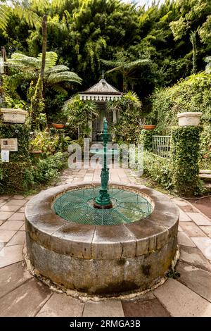 Biodiversité des jardins botaniques de la Réunion Océan Indien Banque D'Images