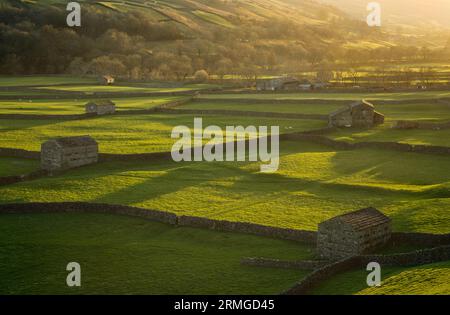 Muker Meadows Barns au coucher du soleil dans les Yorkshire Dales, Royaume-Uni Banque D'Images