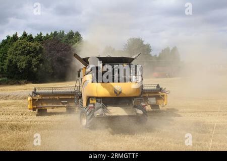 Terres agricoles près d'Airmyn près du pont Boothferry dans l'East Riding of Yorkshire UK.Une moissonneuse-batteuse récoltant une récolte de blé à la fin de l'été Banque D'Images