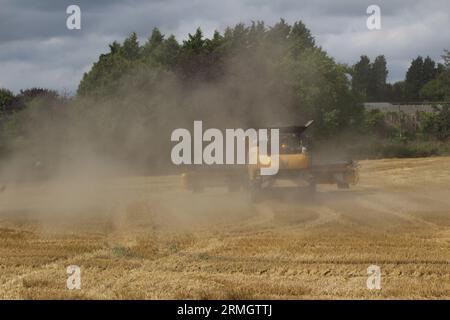 Terres agricoles près d'Airmyn près du pont Boothferry dans l'East Riding of Yorkshire UK.Une moissonneuse-batteuse récoltant une récolte de blé à la fin de l'été Banque D'Images