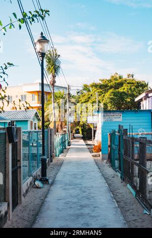 Le chemin principal à travers Placencia township, Belize. Une légende urbaine prétend qu'elle détient le record du monde Guinness de la « rue principale la plus étroite » Banque D'Images