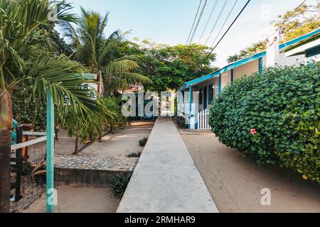 Une passerelle entre arbres et bungalows en bois sur pilotis dans la ville balnéaire de Placencia, Belize Banque D'Images