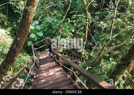 Des marches en bois abruptes mènent à la rivière Cahabón au monument naturel Semuc Champey, Guatemala Banque D'Images