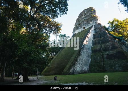 Temple V, un ancien temple maya dans le parc archéologique de Tikal, Guatemala Banque D'Images