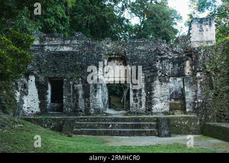 Portes et murs du Palais des rainures, qui fait partie du parc archéologique de Tikal, une ancienne cité maya dans l'actuel Guatemala Banque D'Images