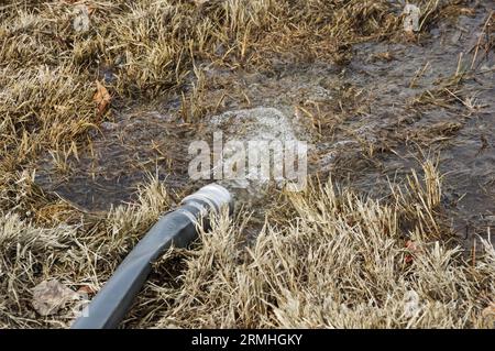 l'eau d'une pompe d'inondation s'écoule sur l'herbe par un tuyau d'incendie Banque D'Images