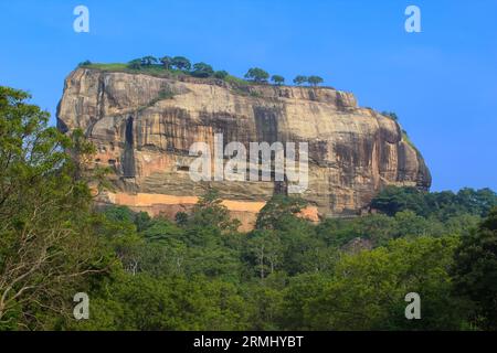 Vue rapprochée de Sigiriya Lion Rock forteresse derrière les arbres, Sri Lanka. Banque D'Images