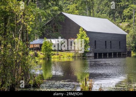 Parrish Mill historique du 19e siècle : pont couvert, moulin à bois, scierie et gin à coton au parc d'État George L. Smith à Twin City, en Géorgie. (ÉTATS-UNIS) Banque D'Images