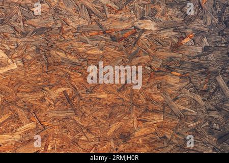 Vieux fond usé de panneaux de particules en bois, motif de texture abstrait de matériau en bois Banque D'Images