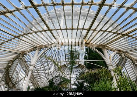 Irlande du Nord, Belfast : Botanic Gardens. En dehors de la Palm House, une des serres. Fondé en 1828, le jardin, alors privé, s’appelait R Banque D'Images