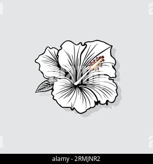 Contour vectoriel de fleur tropicale sur un fond blanc Illustration de Vecteur