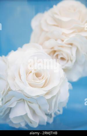 Extreme close up de deux roses blanches en tissu Banque D'Images