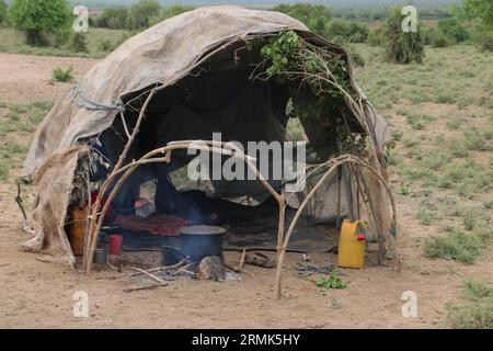 Les huttes de paille du village de la tribu Daasanach, vallée de l'Omo, Éthiopie, Afrique les Daasanach (également connus sous le nom de Marille ou Geleba) sont un groupe ethnique couchitique Banque D'Images