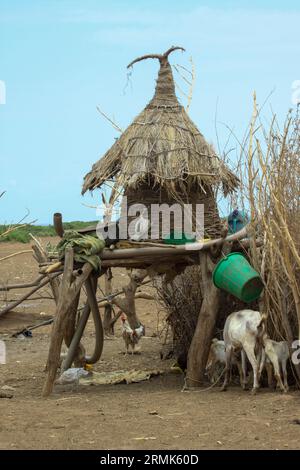 Les huttes de paille du village de la tribu Daasanach, vallée de l'Omo, Éthiopie, Afrique les Daasanach (également connus sous le nom de Marille ou Geleba) sont un groupe ethnique couchitique Banque D'Images