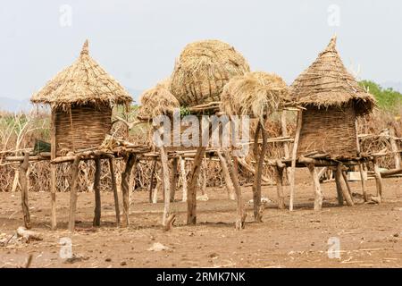 Les huttes de paille du village de la tribu Daasanach, vallée de l'Omo, Éthiopie, Afrique les Daasanach (également connus sous le nom de Marille ou Geleba) sont un groupe ethnique couchitique Banque D'Images