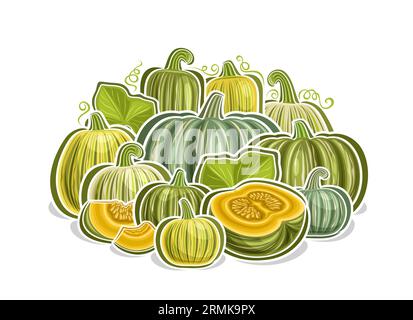 Logo vectoriel pour Kabocha, affiche horizontale décorative avec dessin animé composition végétarienne citrouille verte, impression végétalienne avec variété entière et coupée Illustration de Vecteur