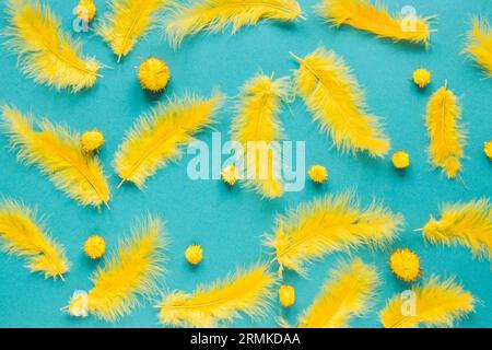 Vue du haut jaune plumes pompons carnaval Banque D'Images