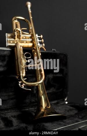 Trompette Banque D'Images