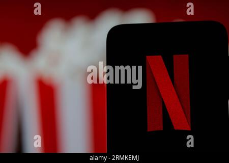 26 août 2023 : Gaziantep, Turquie. 28 août 2023. Le logo de l'application Netflix sur un smartphone. Netflix est un service de streaming de films, séries et émissions télévisées et documentaires, disponible sur abonnement. Il est détenu et exploité par Netflix, Inc. (Image de crédit : © Muhammad ATA/IMAGESLIVE via ZUMA Press Wire) USAGE ÉDITORIAL SEULEMENT! Non destiné à UN USAGE commercial ! Banque D'Images