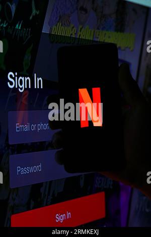 26 août 2023 : Gaziantep, Turquie. 28 août 2023. Le logo de l'application Netflix sur un smartphone. Netflix est un service de streaming de films, séries et émissions télévisées et documentaires, disponible sur abonnement. Il est détenu et exploité par Netflix, Inc. (Image de crédit : © Muhammad ATA/IMAGESLIVE via ZUMA Press Wire) USAGE ÉDITORIAL SEULEMENT! Non destiné à UN USAGE commercial ! Banque D'Images