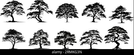 Ensemble vectoriel de silhouettes d'arbre, isolé sur fond blanc. Illustration de Vecteur