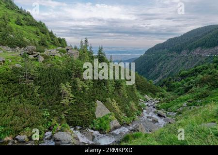 Paysage rocheux au cours supérieur du ruisseau Balea dans les montagnes de Fagaras, également montagnes de Fogaras, dans le groupe de montagnes du Sud Banque D'Images