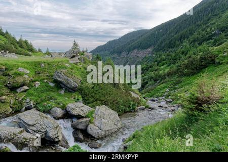 Paysage rocheux au cours supérieur du ruisseau Balea dans les montagnes de Fagaras, également montagnes de Fogaras, dans le groupe de montagnes du Sud Banque D'Images