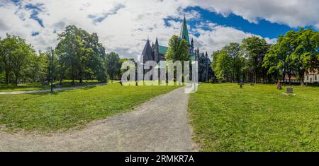 Vue sur Nidaros Domkirke depuis le jardin et le cimetière dans la ville norvégienne de Trondheim Banque D'Images