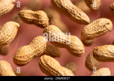 Un bouquet de cacahuètes fraîches dans une coquille croquante sur un fond rose. Banque D'Images