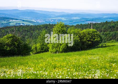 Prairies fleuries au printemps, paysage vallonné, bois, prairies et village, Lipa près de Zlin, république tchèque. Printemps. Le premier plan est légèrement flou Banque D'Images