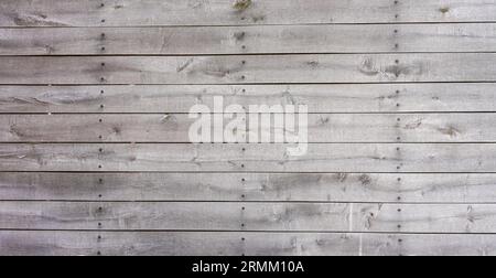 Fond de bois gris rustique. Panneaux en bois. Banque D'Images